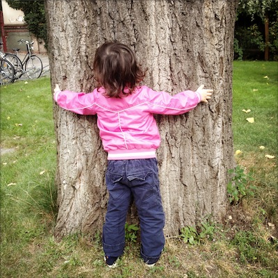 Klicksonar-Echo und Baum gehören zusammen